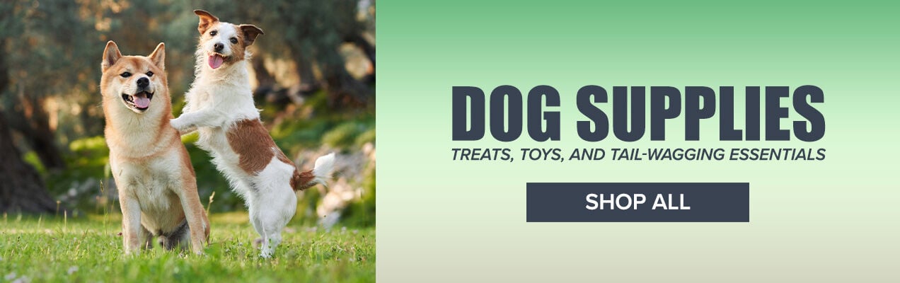 Dog Supplies